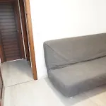 Delfin تورّيفيِخا